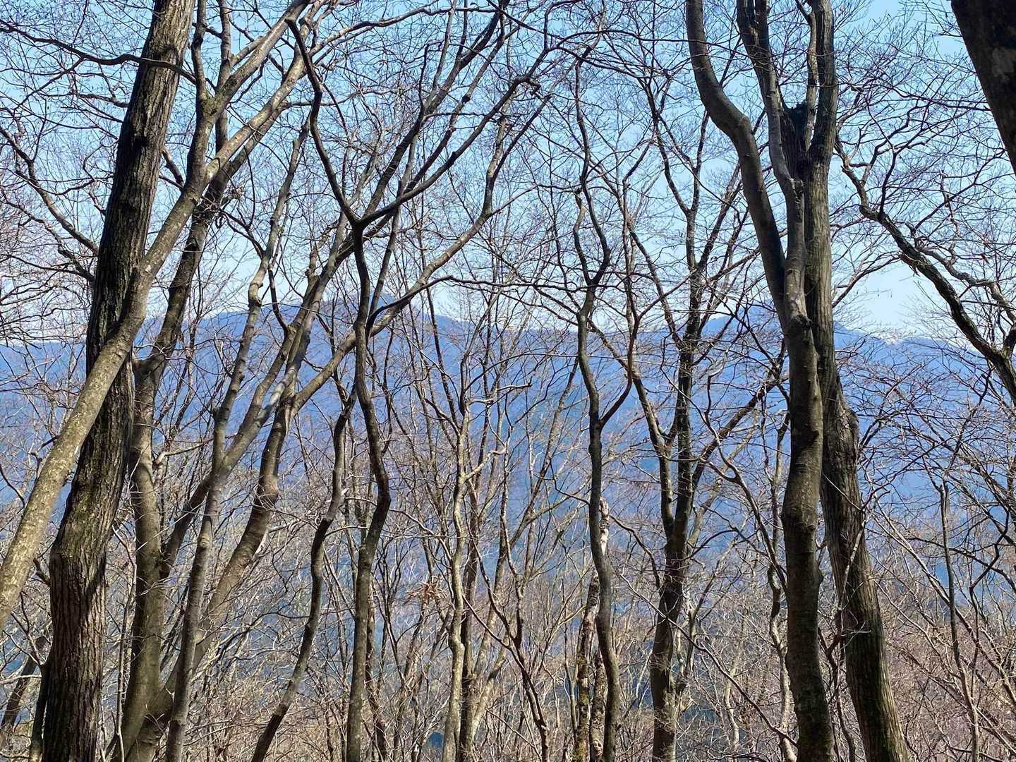 丹沢が見える✨