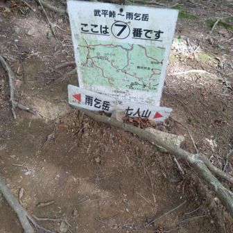 分岐点を七人山へ。あちこちにレスキュー案内あり