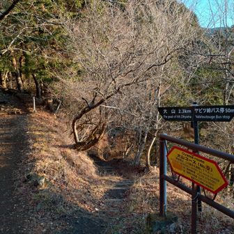 スタート。寒いけれどいい天気です。