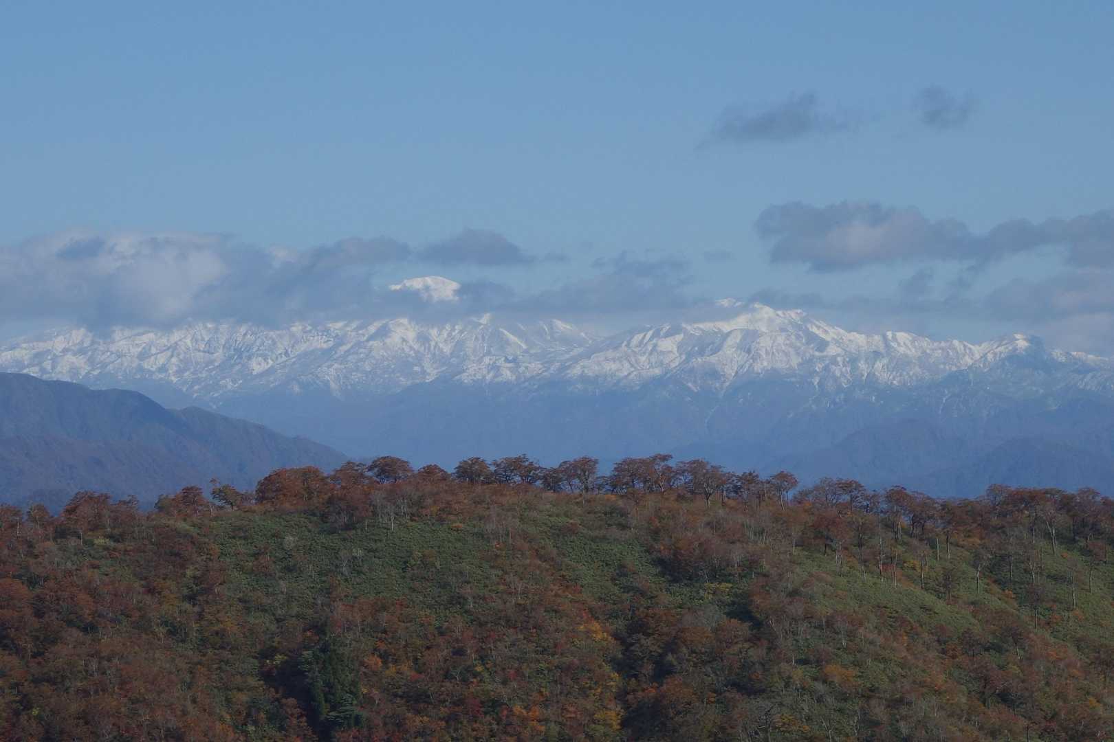 こちらも白山。近いです