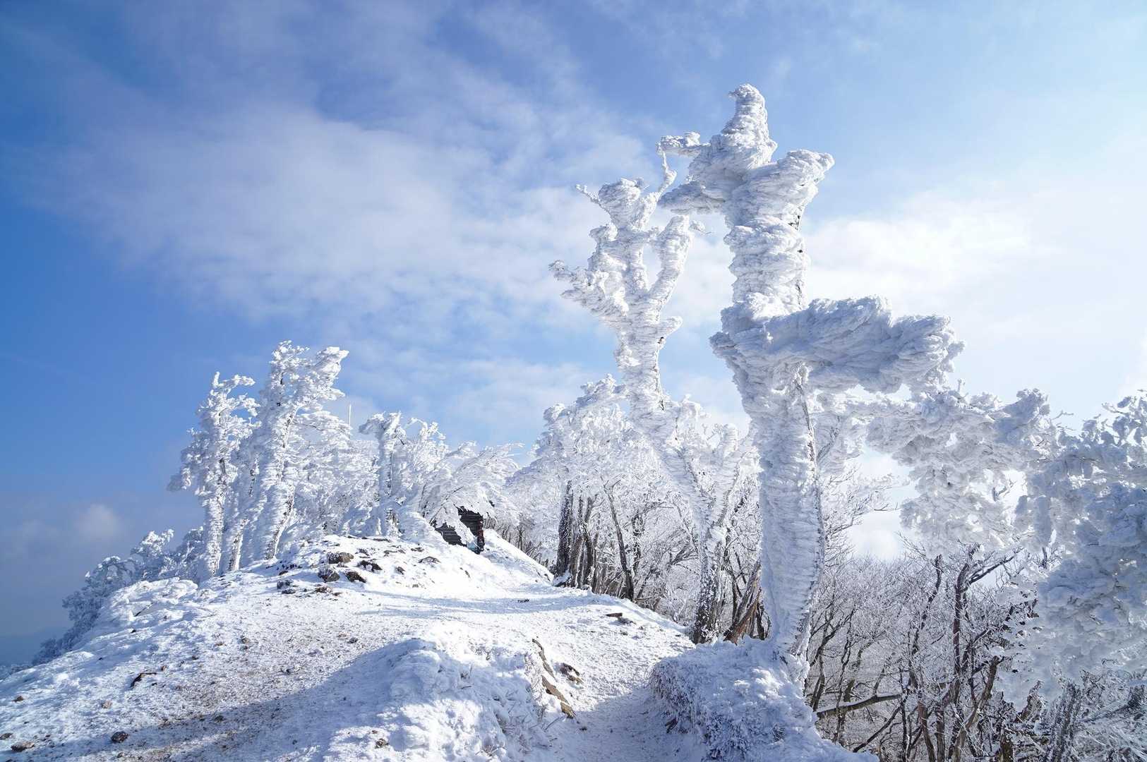 高見峠-高見山 往復コースの写真