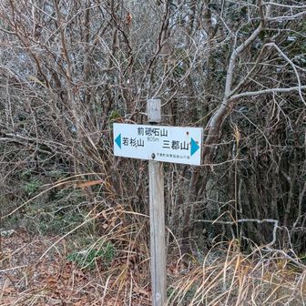 前砥石山
先を急ぐ。