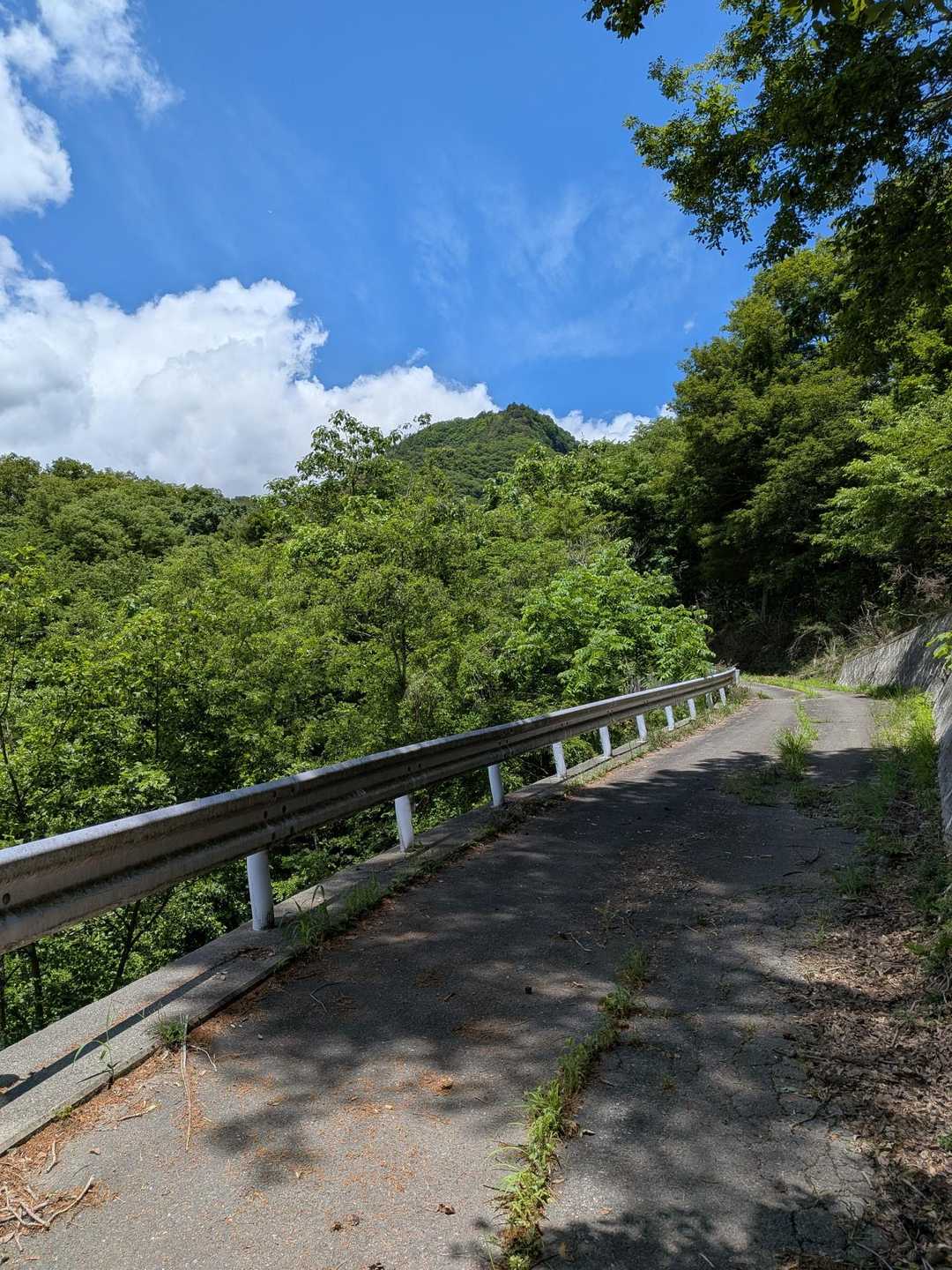 山頂が見えます
