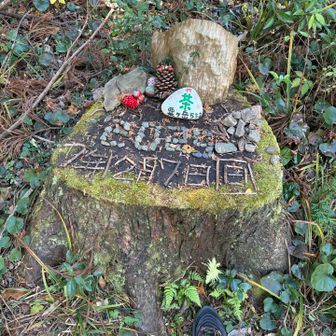 何時もの場所で。テラスで写真撮り忘れ💦
富士山と南アルプスは綺麗に見れました。
雪はまだまだ少なかった

すぅちゃん、ばんびさんと合流しテラスでひと時を過ごし一緒に下山。意外な事も知る🤭
