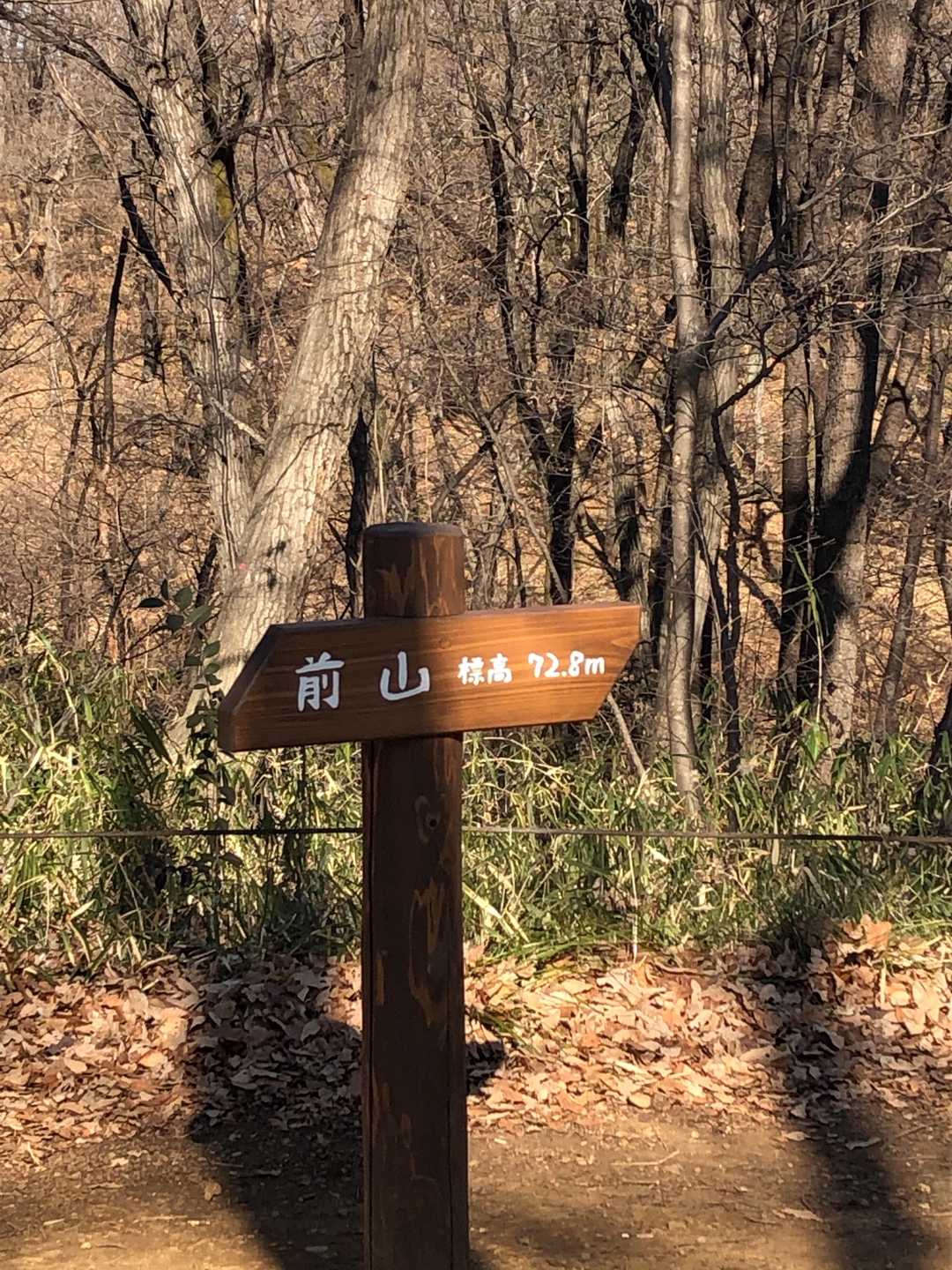 前山着きました。充実した縦走でした。多摩霊園通って駐車場まで戻り、新青梅街道の細い車線を通って瑞穂まで戻りました。