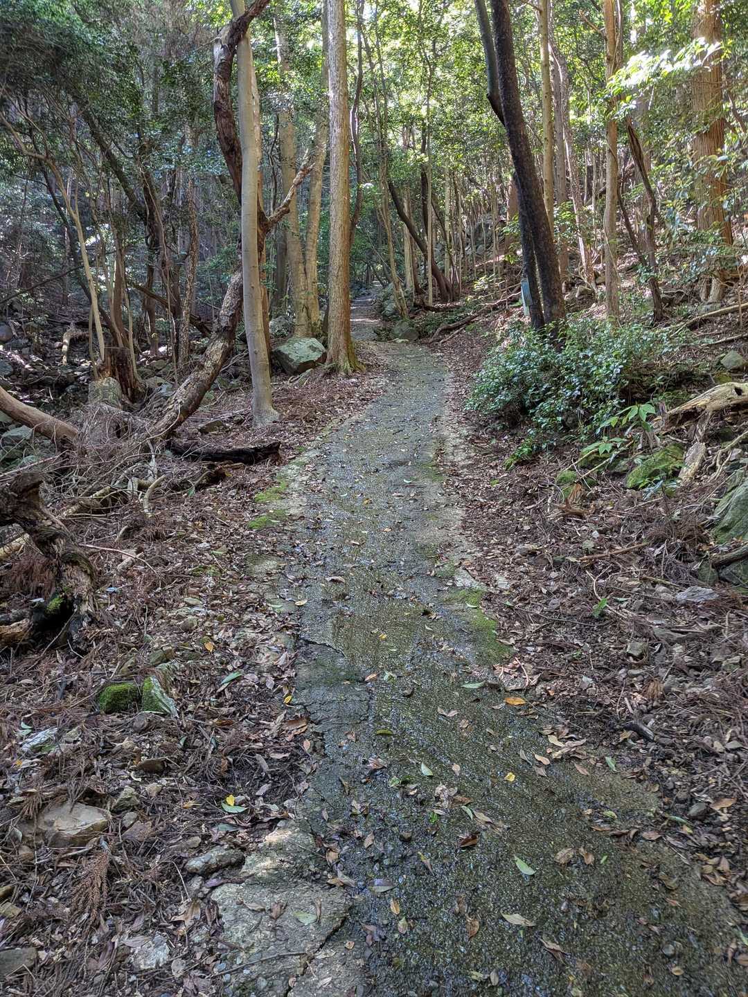 車道は急坂です💦🥵