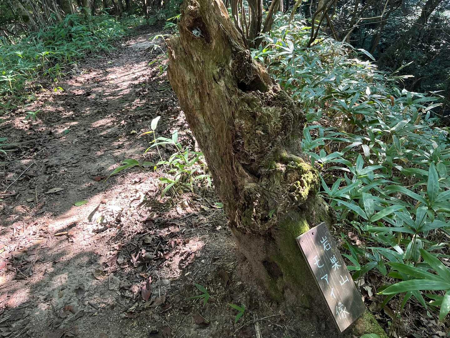 もはや看板はいるのか？😅