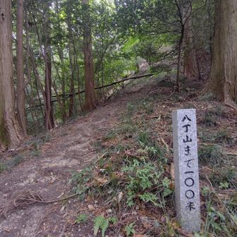 もうヘトヘトだけどアブに付きまとわれて落ち着かない