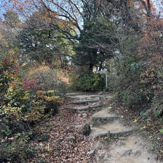 尾根の縦走路に出てきました