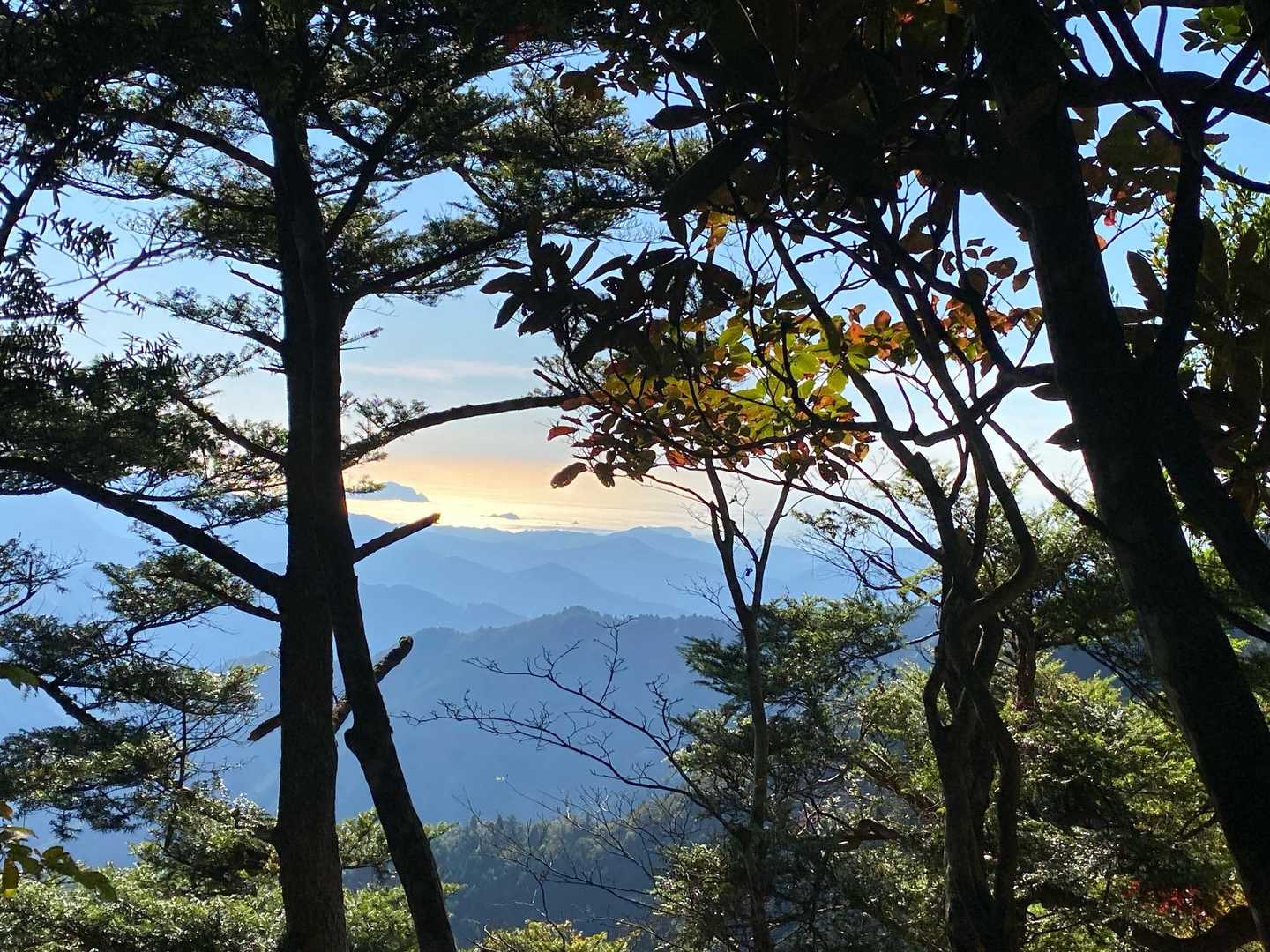 海が光ってるのが見えた✨✨✨