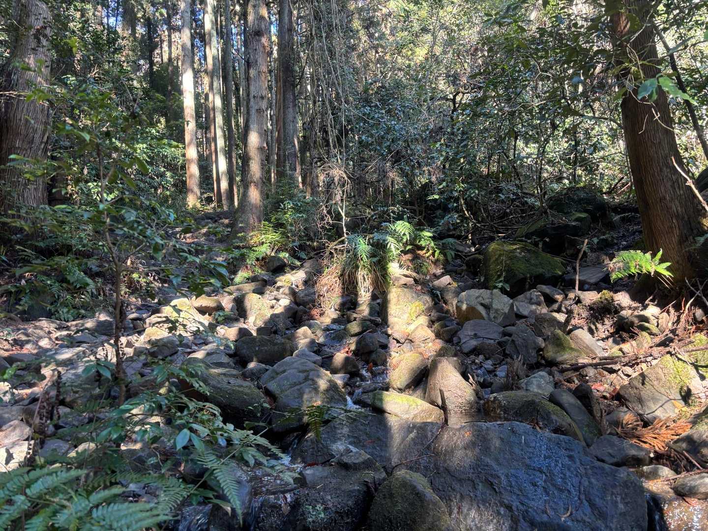沢沿いの気持ちの良い道です。