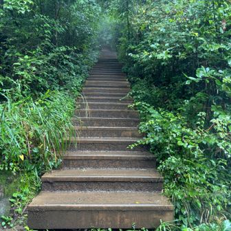 山頂への最後の階段💪