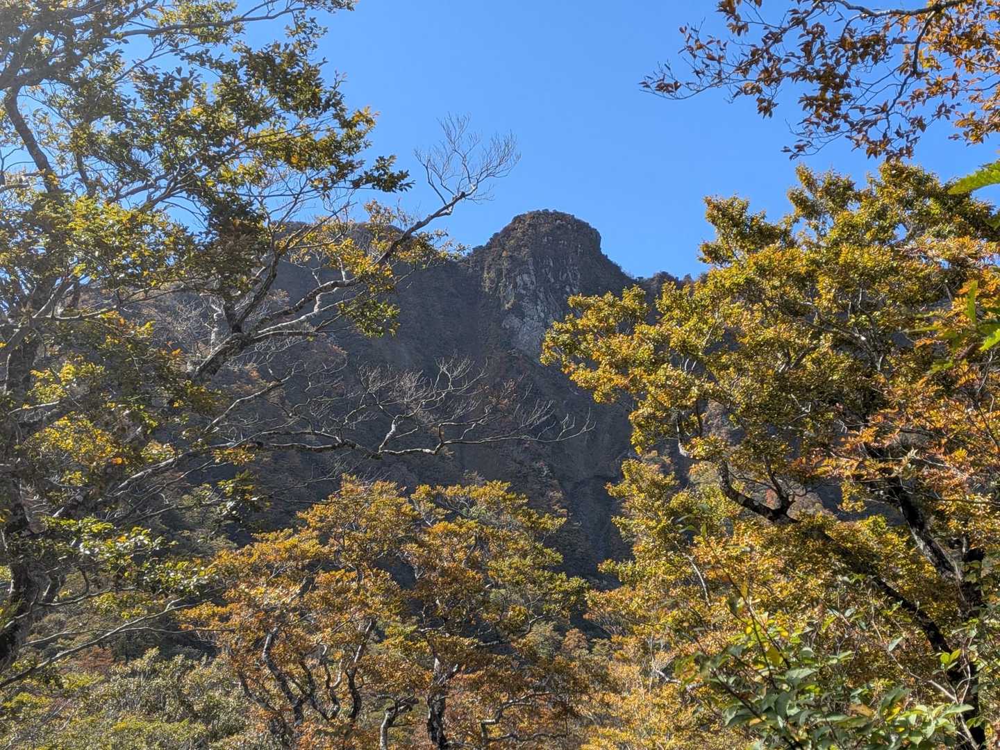 新小屋峠-烏ヶ山 往復コースの写真