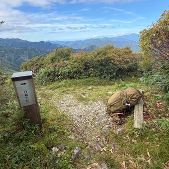 分岐に戻ってきた