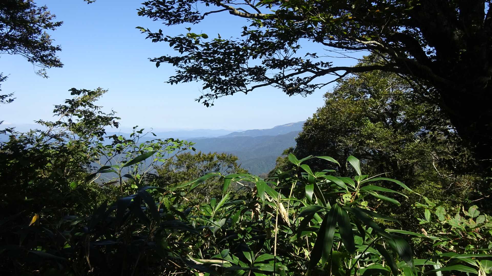 冠山峠-冠山 往復コースの写真