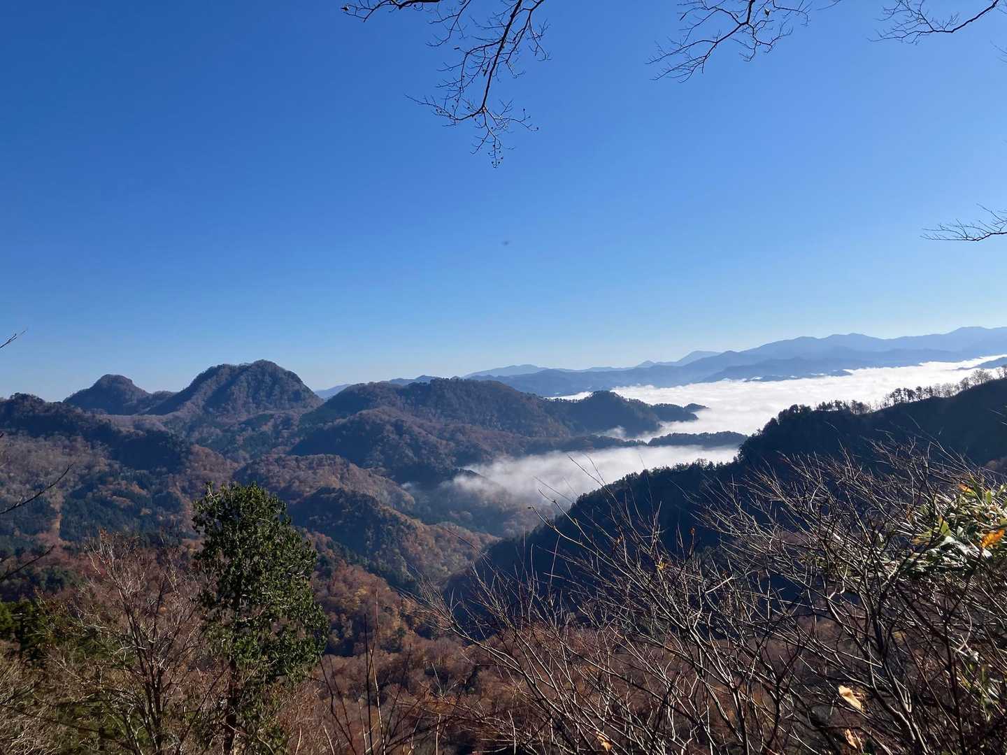 雲海で綺麗、青空でいい天気です。