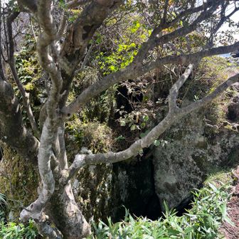 この先の岩を登ると景色がいいです
