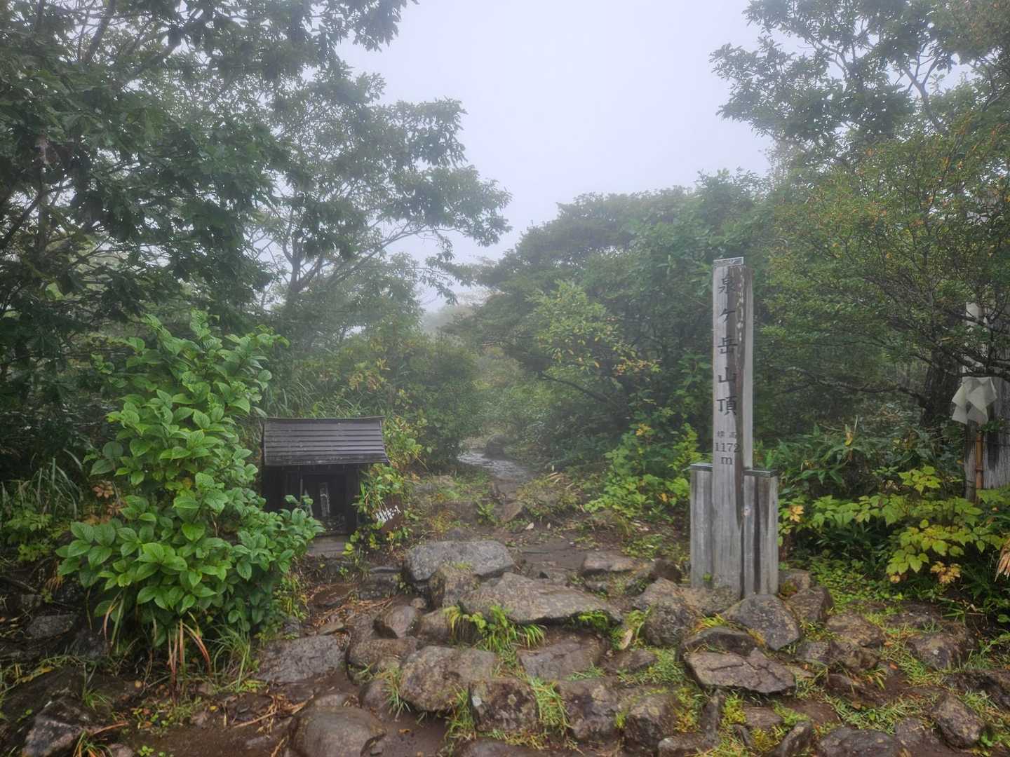 お分れ峠-泉ヶ岳-北泉ヶ岳 周回コースの写真