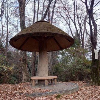 きのこ屋根の東屋