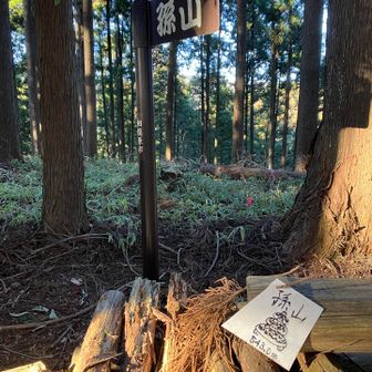 親亀小亀の絵が可愛い