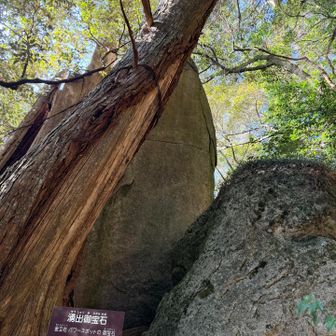 パワースポットだって✨