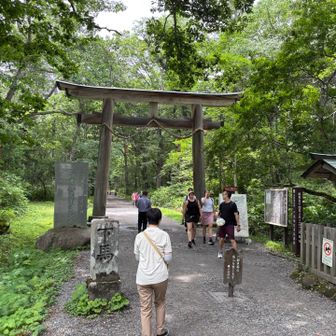 平日だけど結構人が多い…
夏休みの人とか多いのかな❓(*´ー｀*)