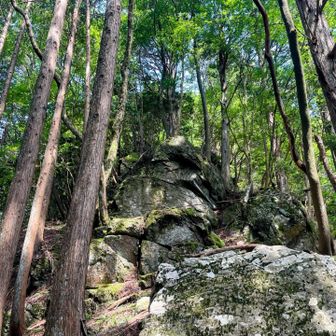 大岩が現れると更に急登に