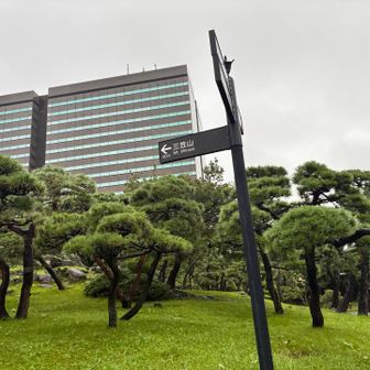 もう一度三笠山へ