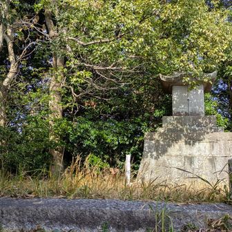 こんな感じの風天山🙏
此処も山城っぽいけど