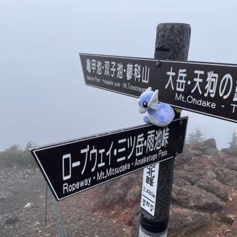 なーんにも見えませんね