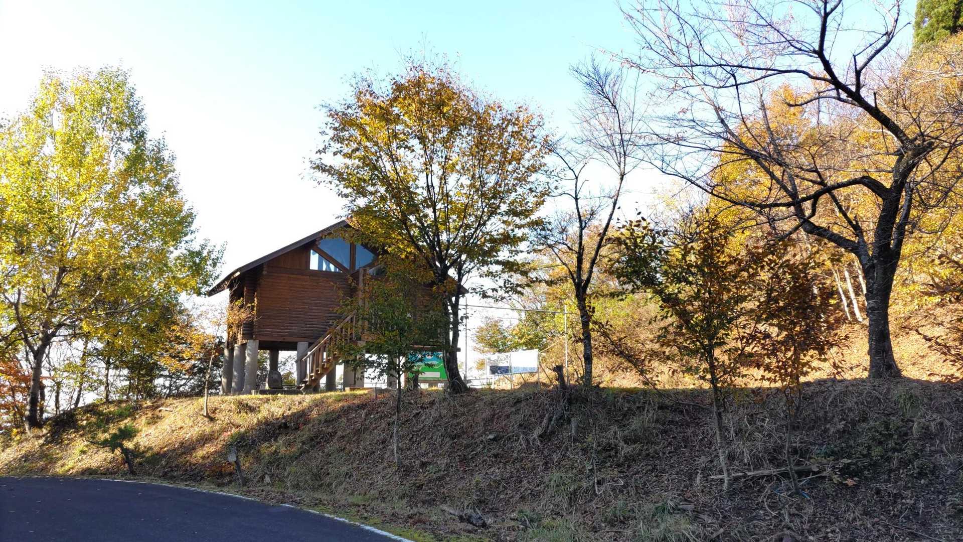 さて本日11/14も青空🔷で気持ちいい⤴️