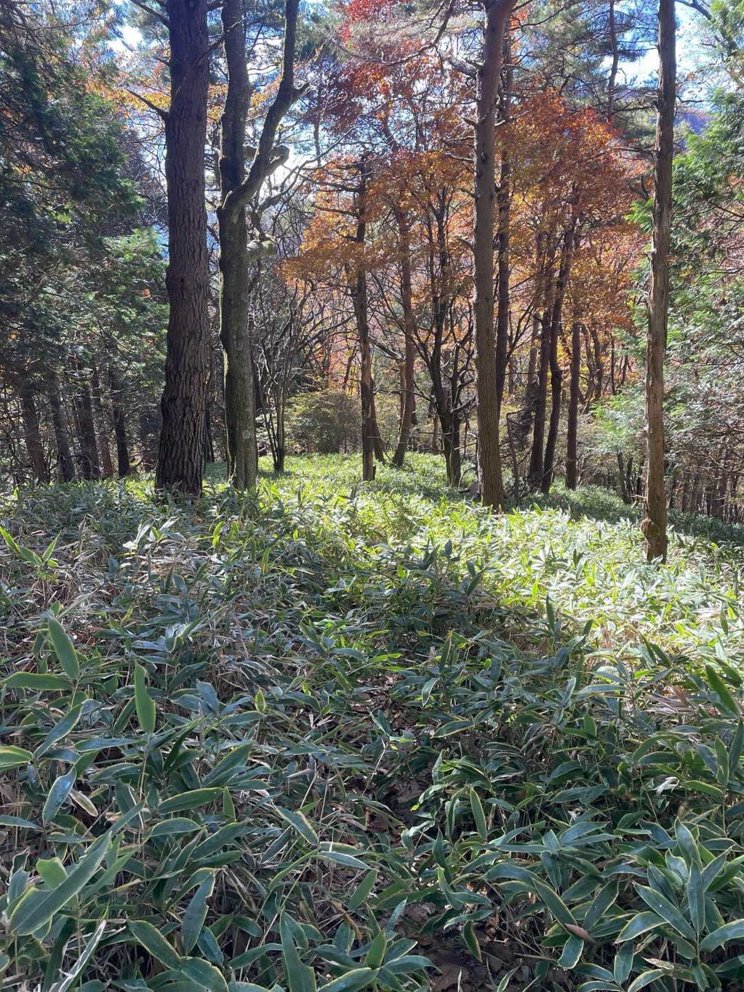 次は硯岩に向かいます