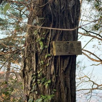 7. 大櫃鳥屋…なんて読むん？