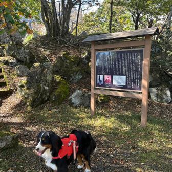 お墓だから線香たくのかな？

ここら辺から匂いキツくて
ダッシュで退散！！
おつ山でした🧚🏻‍♀️