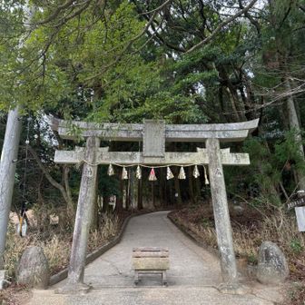 行ってきます⛩️