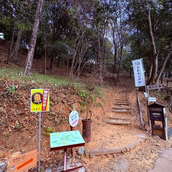先に登って来ます