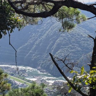木が茂っているから、隙間からの景色
