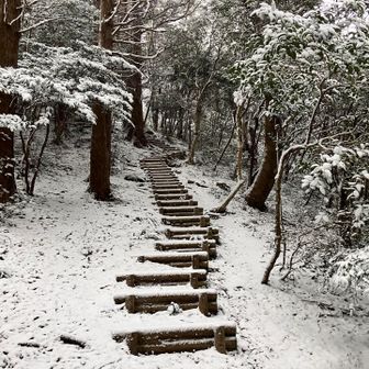 スタートからいい感じ☃️