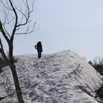 ビクトリーロードからの、