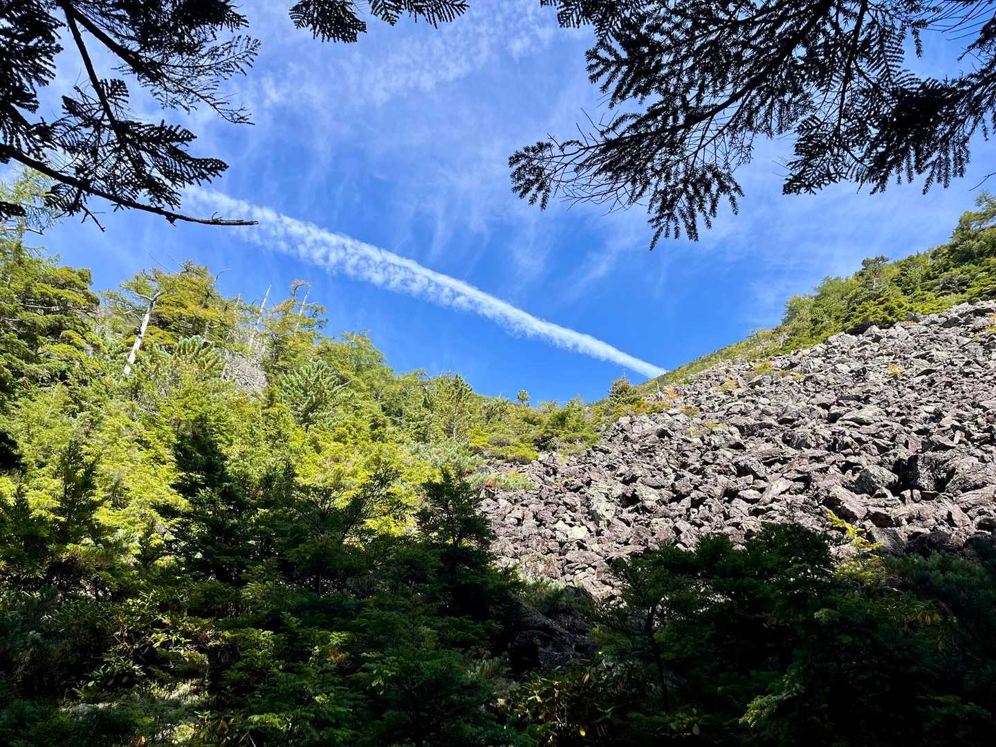 あっ、青空🩵