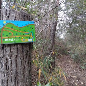 かわいいマップ