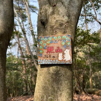 もう足が痛くて
ピークハント諦めます🤣