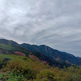 雲が分厚い

そういや避難小屋で
ベヘリットのキーホルダーつけてる人いた
話しかけたかった