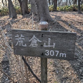 戻ってきて！
荒倉神社に寄って帰ろ