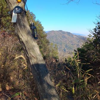 東山。ここから板宿方面へ下山。