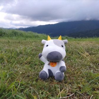 ゆうたいとうしか