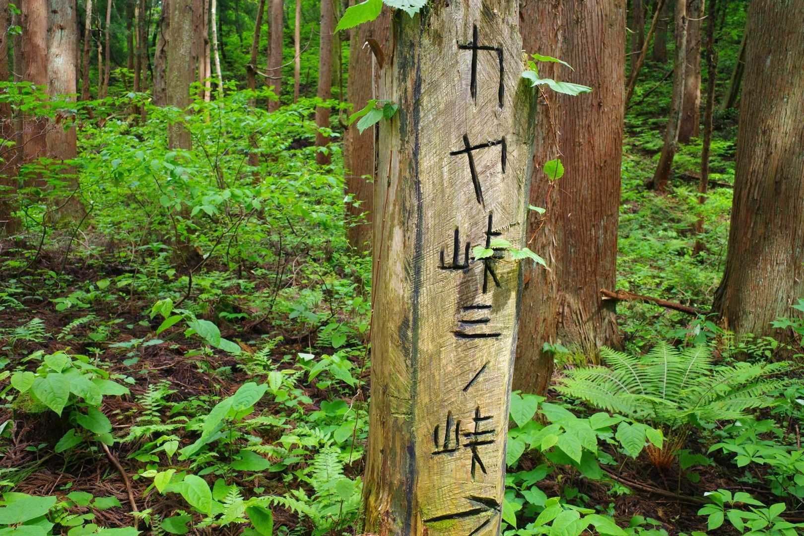 無骨な標識