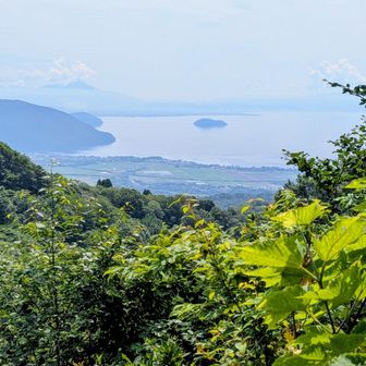 竹生島が