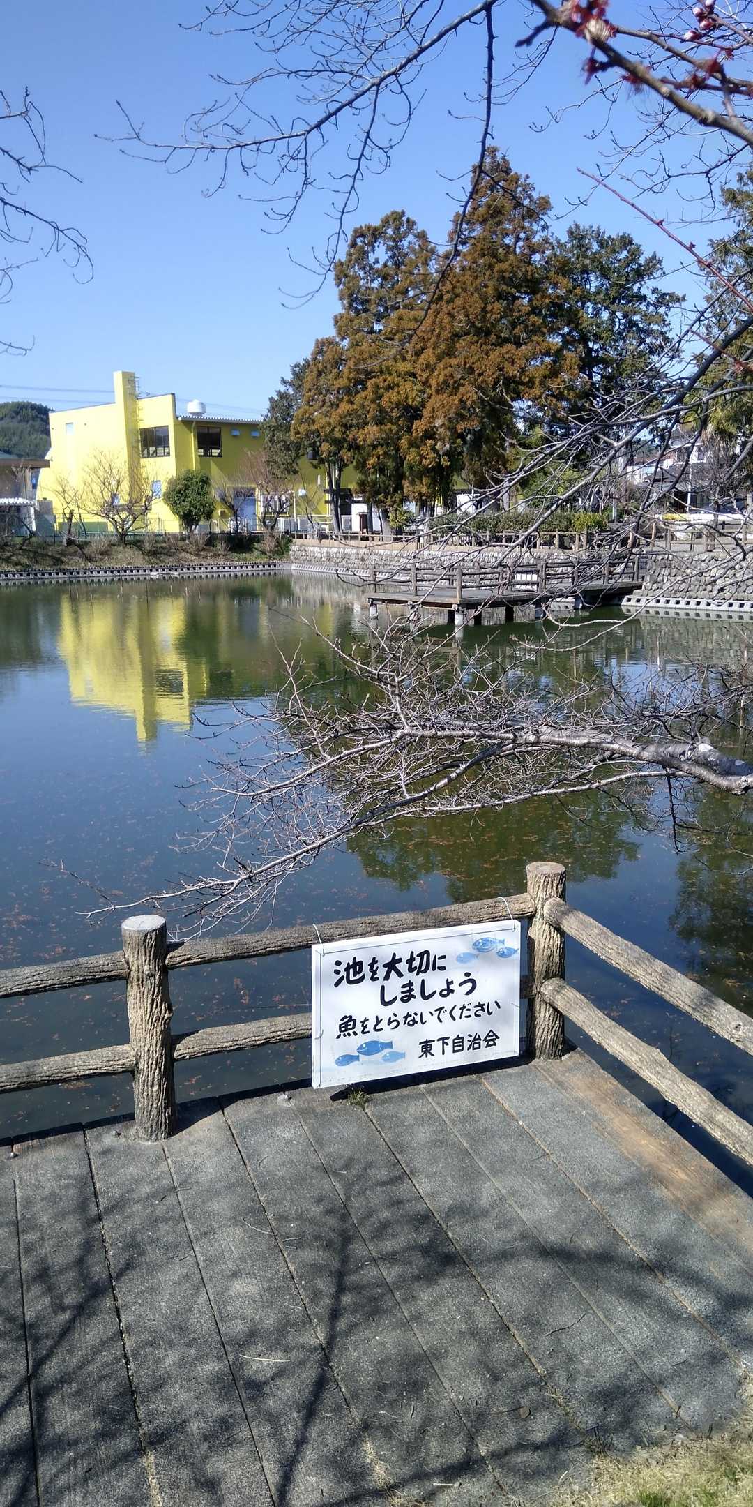 ⛲弁天池☄️水が