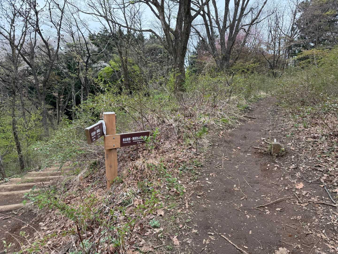 陣馬高原下バス停-陣馬新道登山口-陣馬山-陣馬山登山口-陣 縦走コースの写真